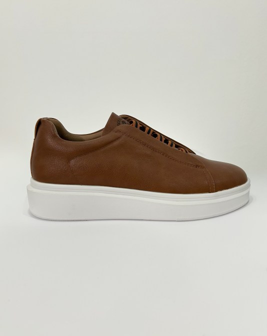 2. Y258 camel